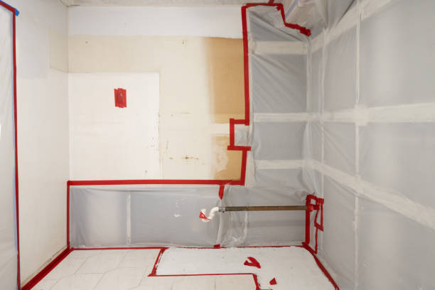 Best HVAC Mold Inspection and Cleaning  in Baldwin Park, CA