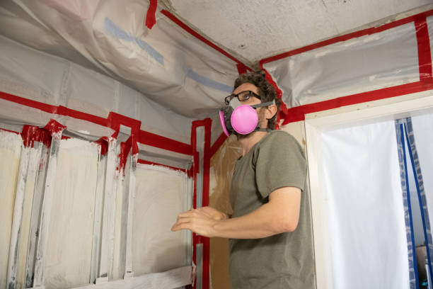 Best Air Quality Testing for Mold Spores  in Baldwin Park, CA