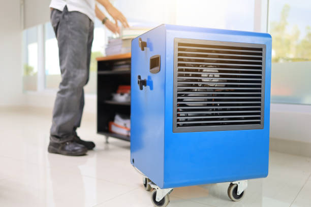 Best Dehumidification Services  in Baldwin Park, CA