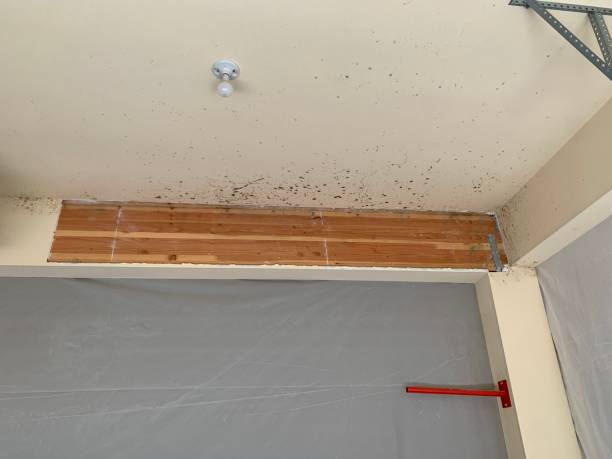 Best Indoor Air Quality Assessment  in Baldwin Park, CA
