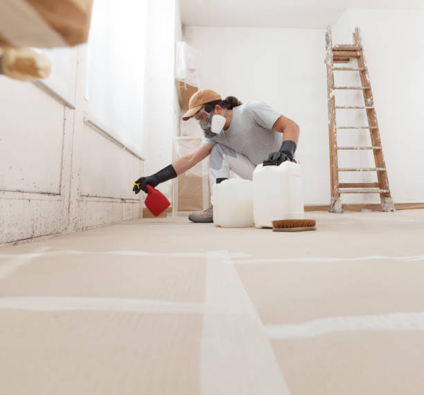 Best Crawl Space Mold Remediation  in Baldwin Park, CA